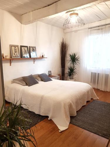 Barjols Bed & Breakfast | Chambre d hotes "Lilimyna" avec petit déjeuner