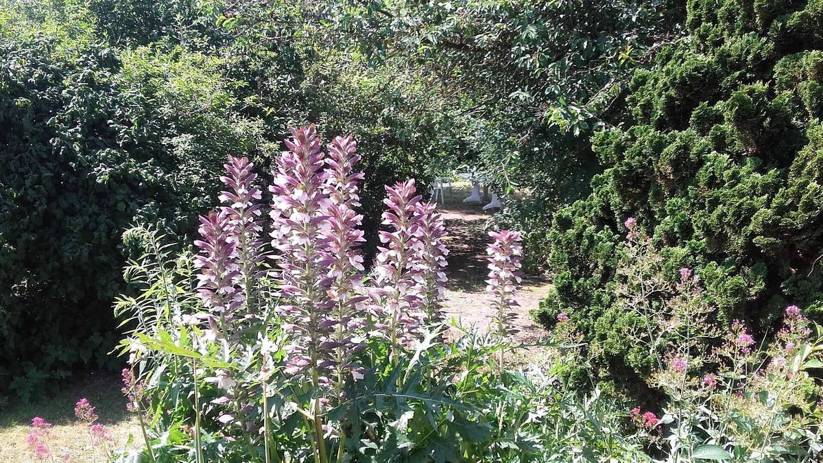 Saint-Aubin-Les-Elbeuf Bed & Breakfast | Chambre du Jardin Fleuri
