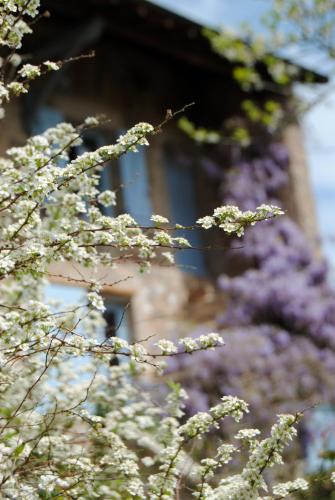 Trivy Bed & Breakfast | Chambre privative et originale, à 20 mn de Cluny
