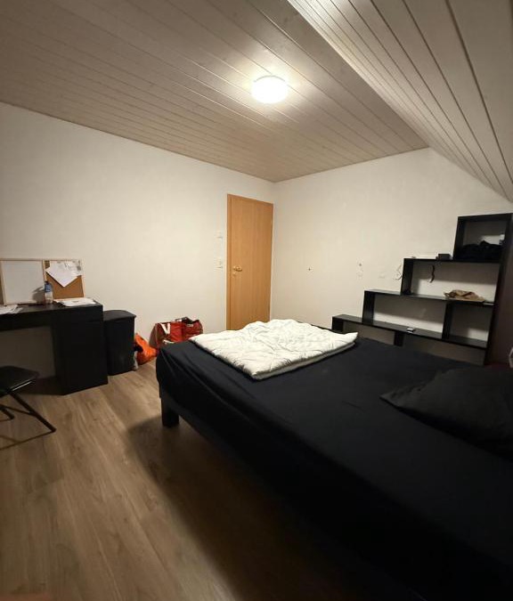 Les Posses-sur-Bex House | Chambre villa avec jardin