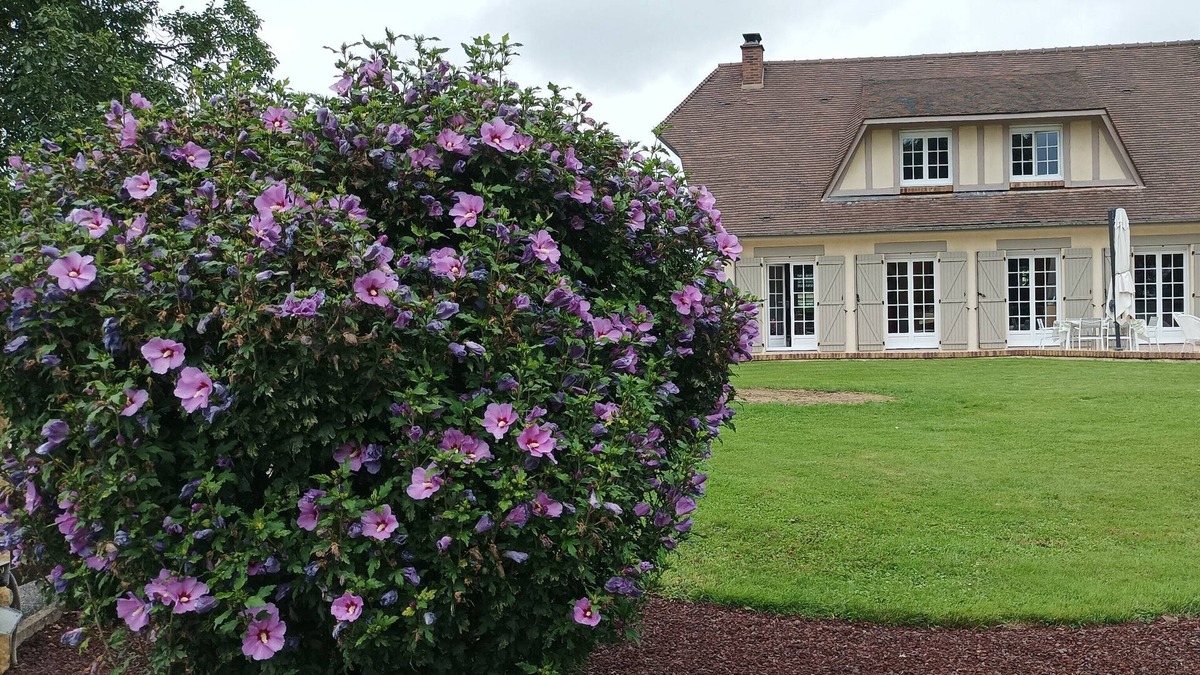 Malaunay Bed & Breakfast | Chambres D'hôtes
