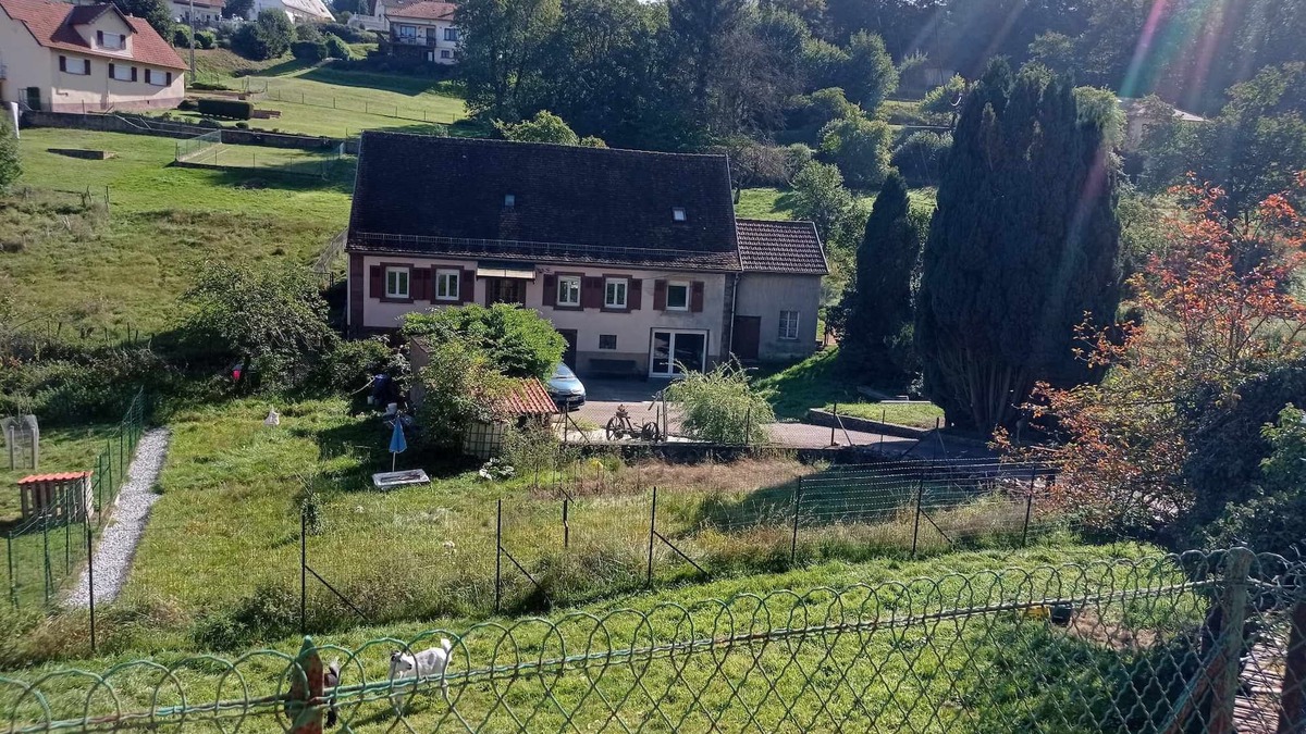 Meisenthal Bed & Breakfast | Chambres D'hôtes My Zen Thal Chambre Nature-zen