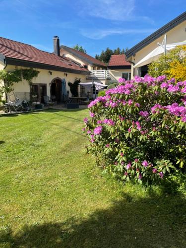 Belonchamp Bed & Breakfast | Chambres d’hôtes plateau des mille étangs