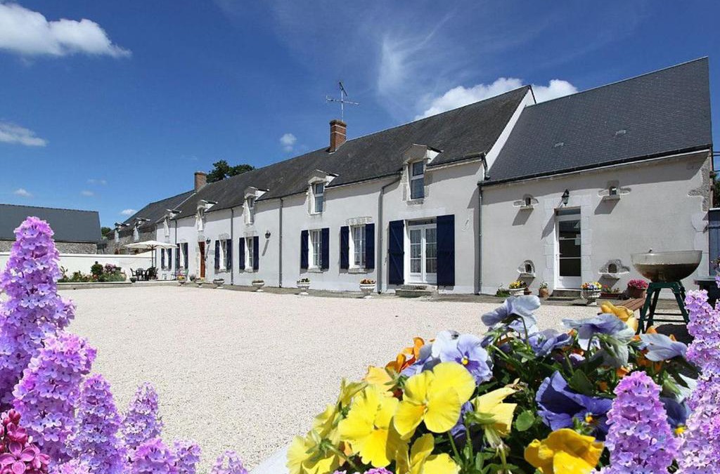 Cravant Bed & Breakfast | Chambres d'hôtes rénovées près des châteaux de la Loire avec expérience ULM possible - FR-1-590-309