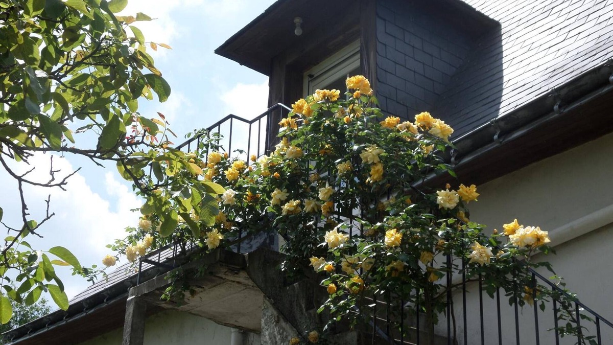 Thorigne-d'Anjou House | Chambres d'Hotes Du Haut Anjou