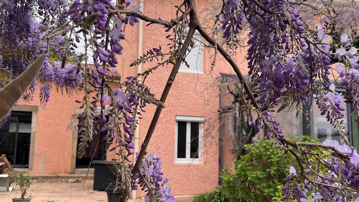 Charly Bed & Breakfast | Chambres Dans Maison Neuve