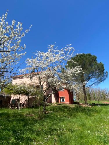 Camares Bed & Breakfast | Chambres de La Serre
