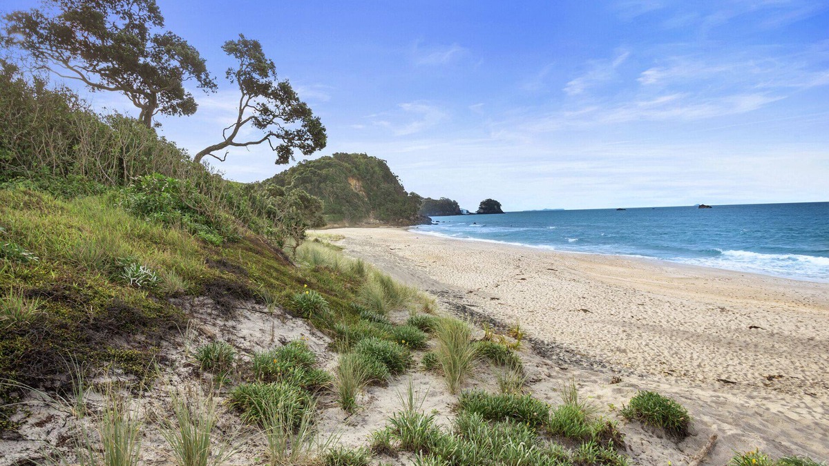 Whiritoa House | Changing Sands - Whiritoa Holiday Home