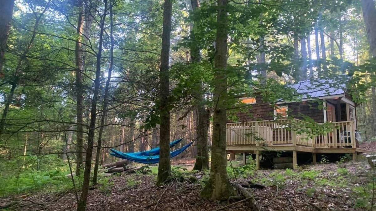 Suches Cottage | Chanterelle Tiny House