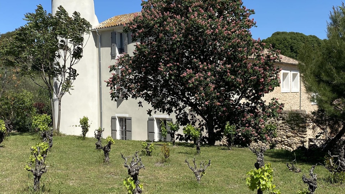 Quarante House | Character country property surrounded by vineyards