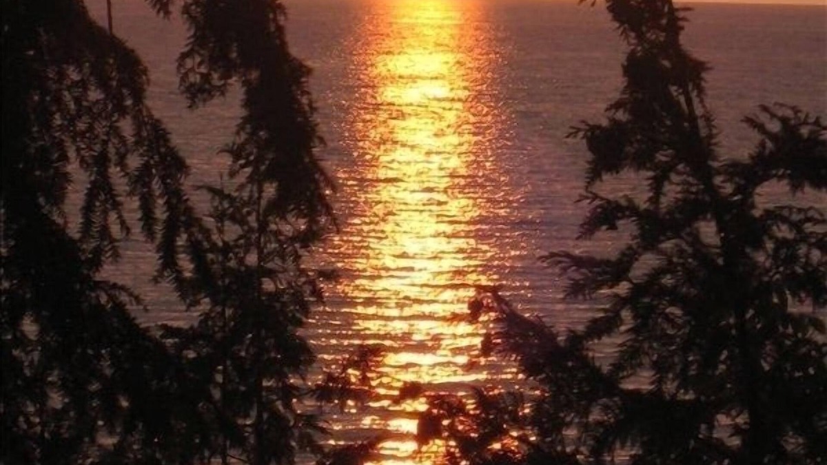Charlevoix Cottage | Charlevoix Cottage: 150ft Lake Michigan Beach, Spectacular Sunsets & Dark Skies.