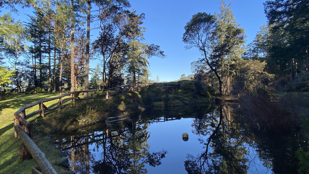 Sooke Cabin | Charlies Cabin near the sea, located on 10 acres of forested land.