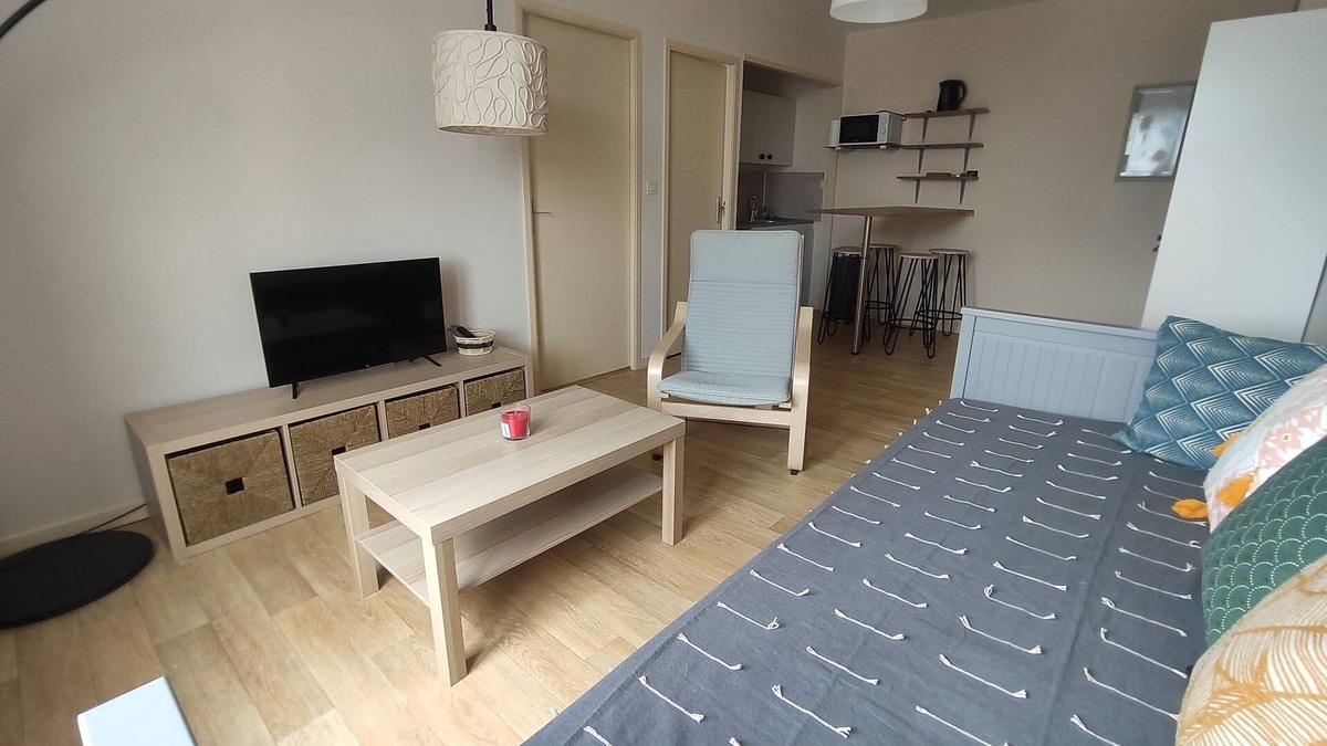 Saint-Aignan Apartment | Charmant Appartement à St Aignan/Zoo de Beauval