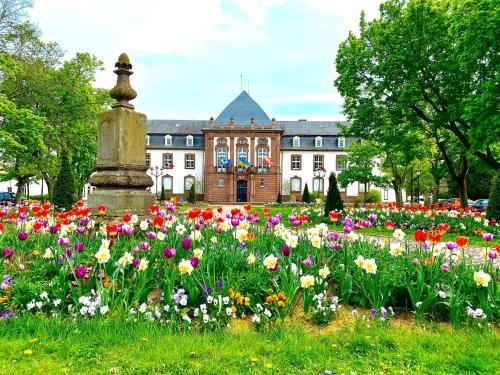 Haguenau Apartment | Charmant studio à Haguenau, à 25mn de Strasbourg