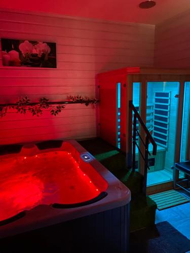 Clairvaux-les-Lacs Apartment | Charmant T3 jacuzzi