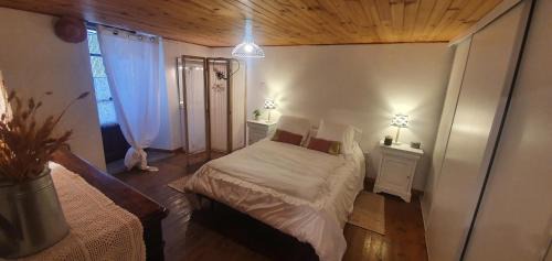 Saint-Jean-du-Bruel House | charmante maison de village