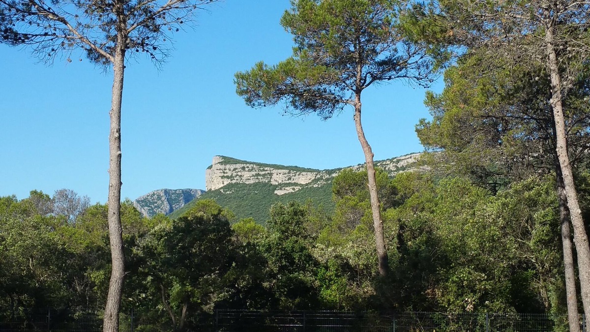 Valflaunes House | Charmante Maison Bien Située Entre Vigne et Pinède au Cœur du Pic Saint Loup