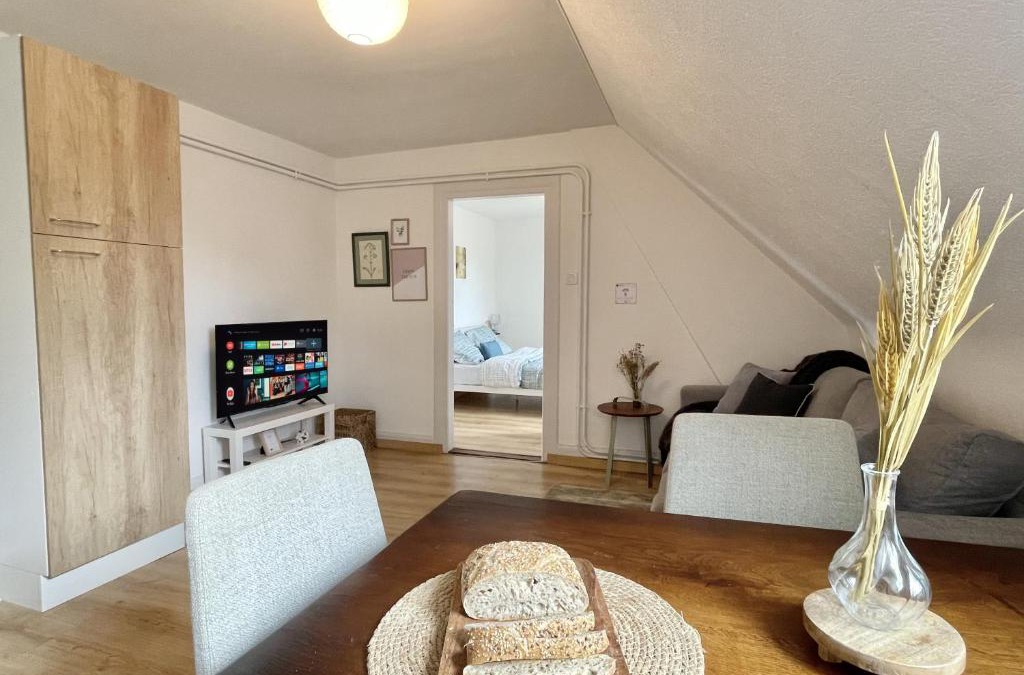 Mulhouse Apartment | CHARME D'ANTAN, proche gare Dornach