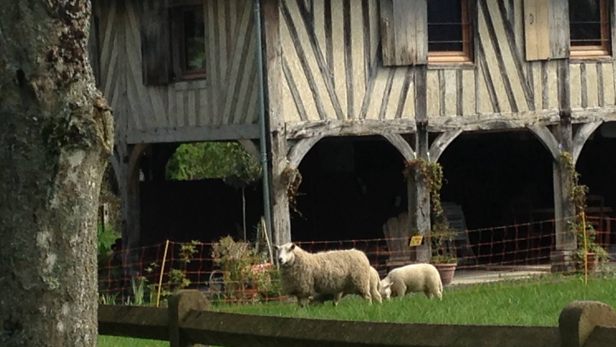 Les Authieux-sur-Calonne House | Charming gîte near Honfleur/Deauville with tennis court. 4 ha. Pets welcome!