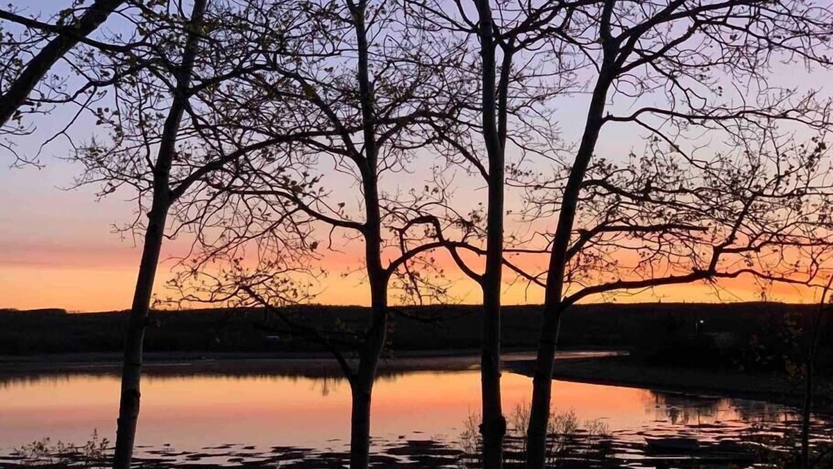 Babb House | Charming 1-Bedroom Cabin on Duck Lake