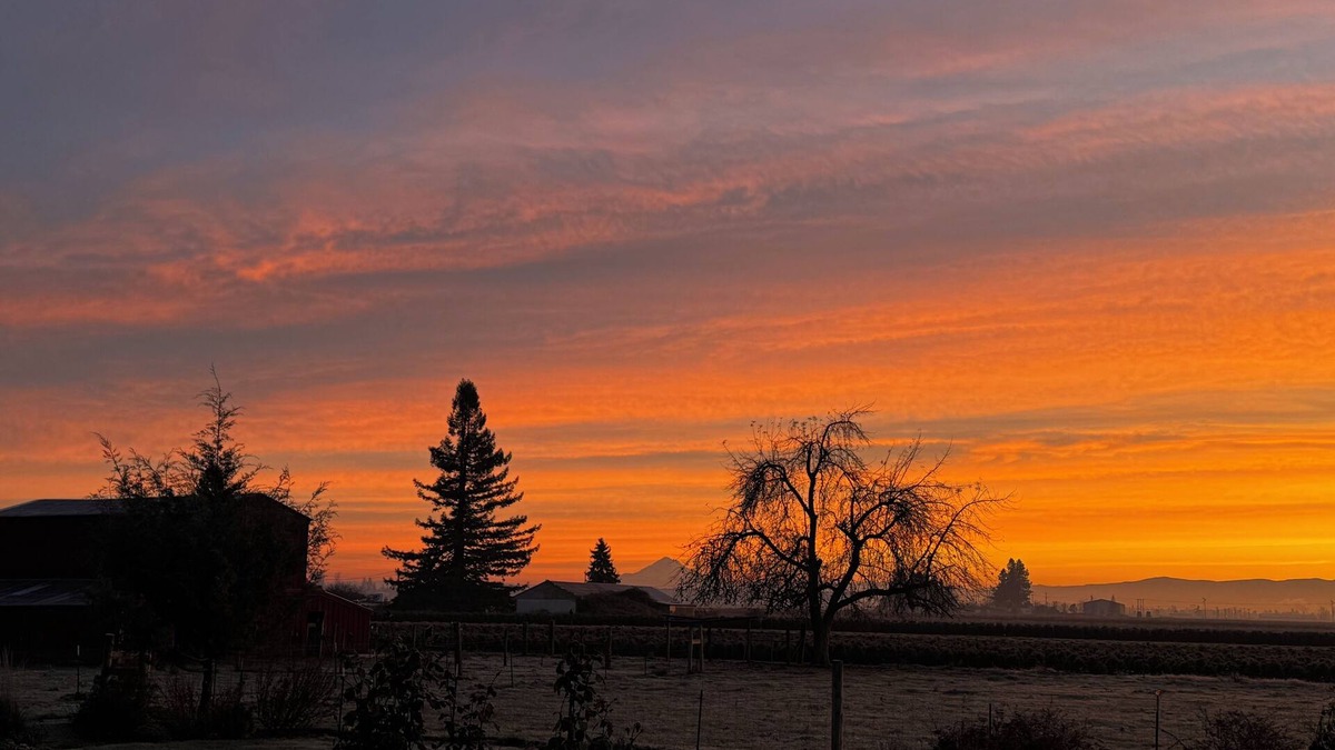Woodburn Apartment | Charming 1-Bedroom Apartment on 3 Acres in Rural Woodburn, Near I-5 & Shopping