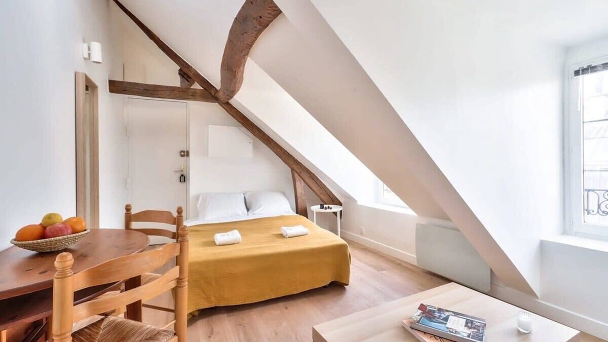 Quartier de la Porte-Saint-Denis Apartment | Charming 1 Bedroom Apt in the Heart of Paris (6)