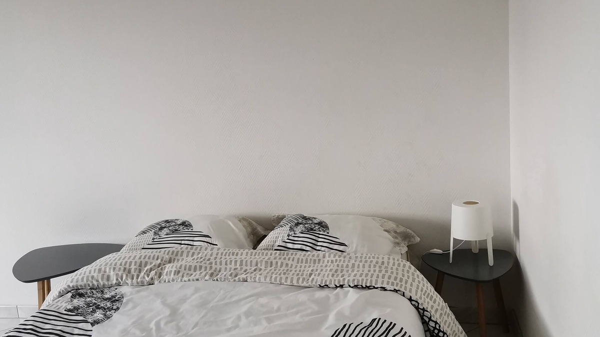 Mulhouse Apartment | Charming 1 room, kitchen, bathroom of 35 m2 in very quiet residence.