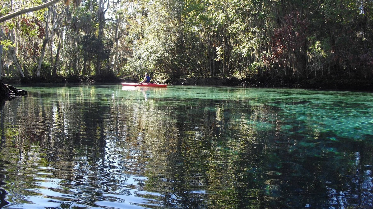 Springs at Kings Bay Villa | Charming 2 bdrm 1.5 bath villa 100 yards to Three Sisters Springs