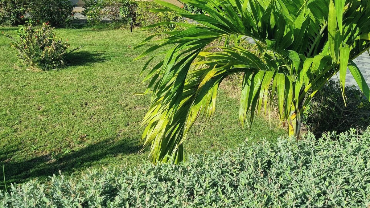 Caribbean Estates House | Charming 2-bed House in Portmore Gated Community