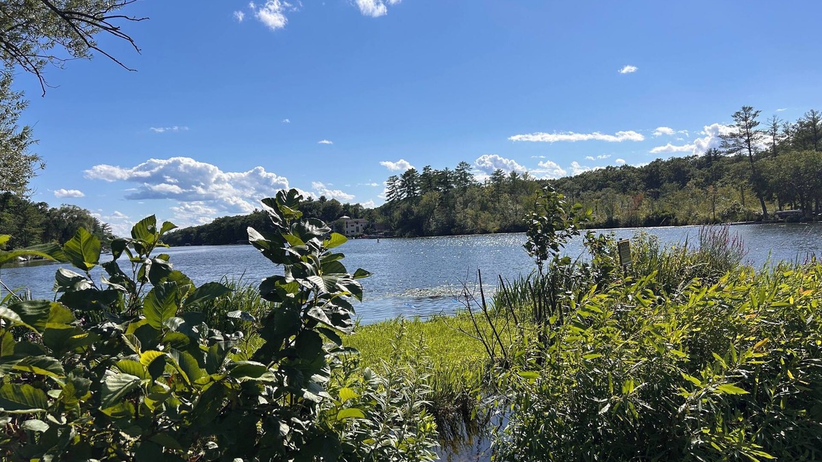 Rotterdam Junction Cottage | Charming 2-bedroom cottage with AC and WiFi on Ballston Lake. Family friendly.