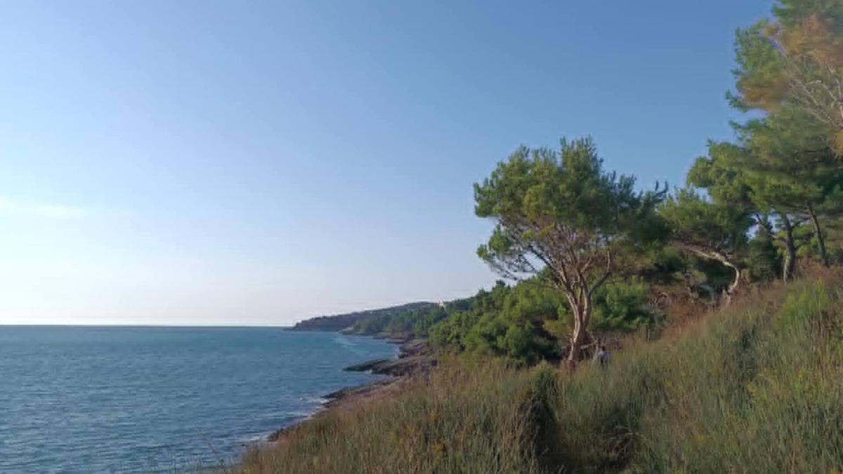 Bigovo Apartment | Charming 2-bedroom apartment with WiFi, AC in enchanting Bigova