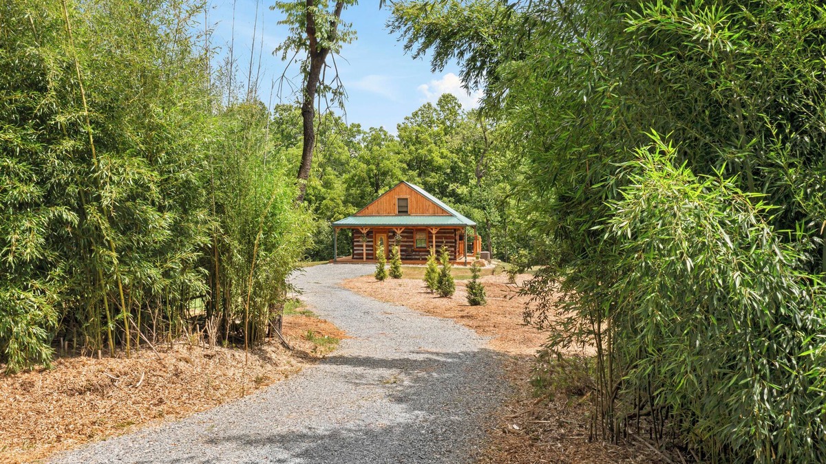 Craig Creek Cabin | Charming 2-bedroom cabin on Craigs Creek with WiFi just outside New Castle