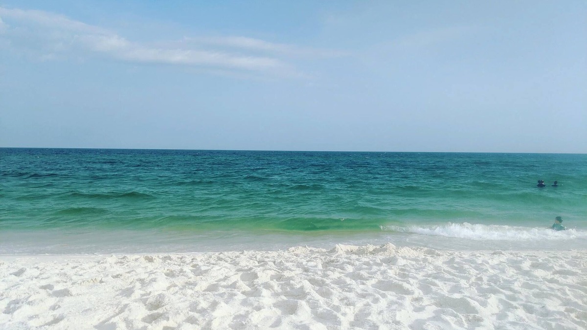 South Pensacola Cottage | Charming 2-bedroom cottage in Pensacola close to beach and downtown