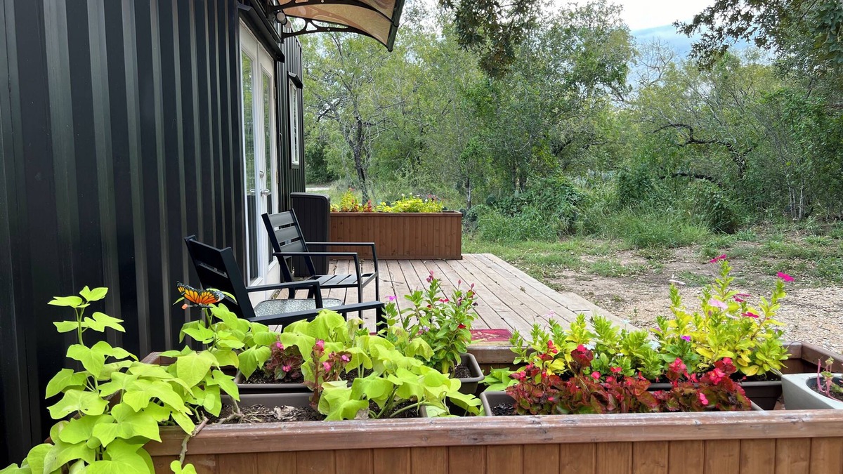 Seguin Cottage | Charming 2-bedroom container home nestled within an Alpaca Ranch