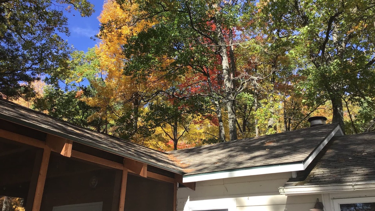 Kalkaska Cottage | Charming 2-bedroom cottage on beautiful Bear Lake with WiFi and AC in Kalkaska.