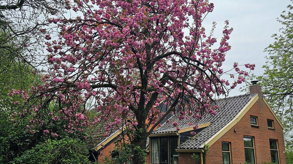 Bellingwolde House | Charming 2-bedroom, petfriendly barn in fabulous Bellingwolde with WiFi