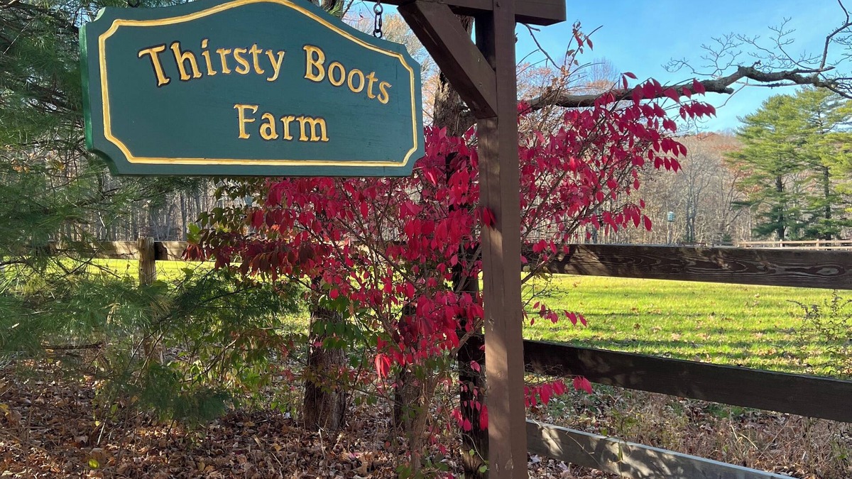 Killingworth Cottage | Charming 2-bedroom farm cottage in quiet Killingworth neighborhood