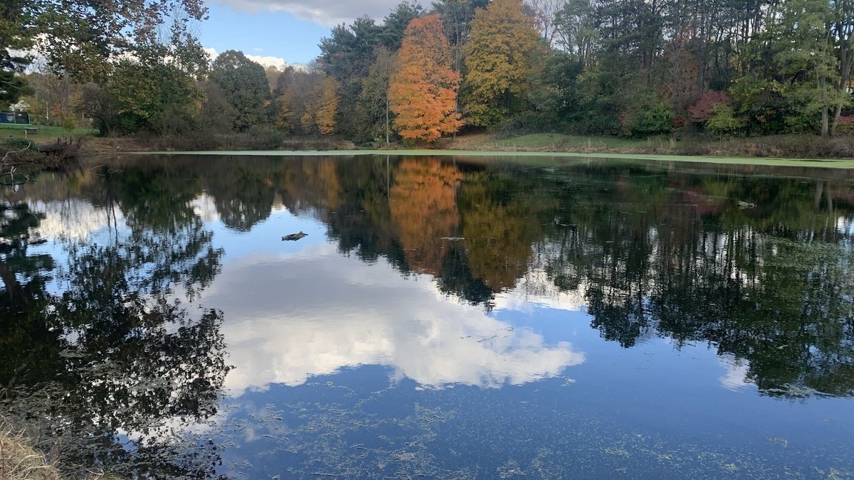 Mount Vernon House | Charming 2 bedroom cabin on private pond!