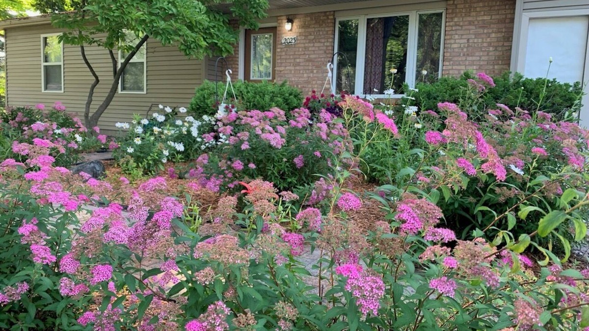 Mount Pleasant House | Charming 3-bedroom home in Mt Pleasant near colleges, Casino and children parksn