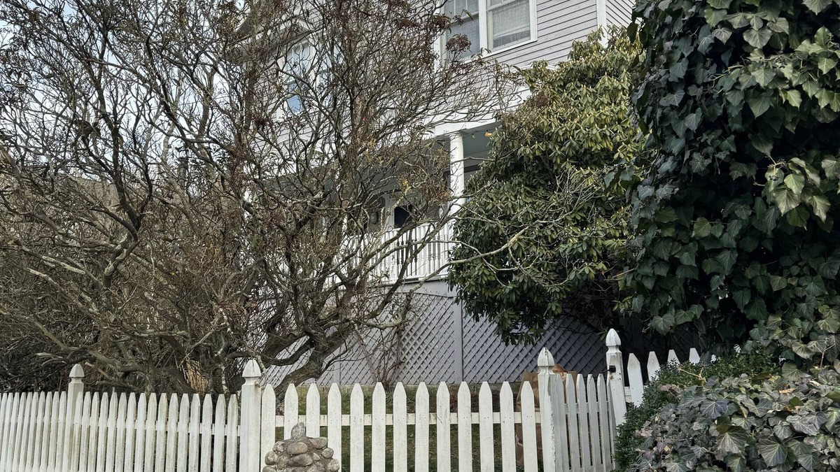 Rowayton House | Charming 3-bedroom house on Bell Island in Rowayton, CT