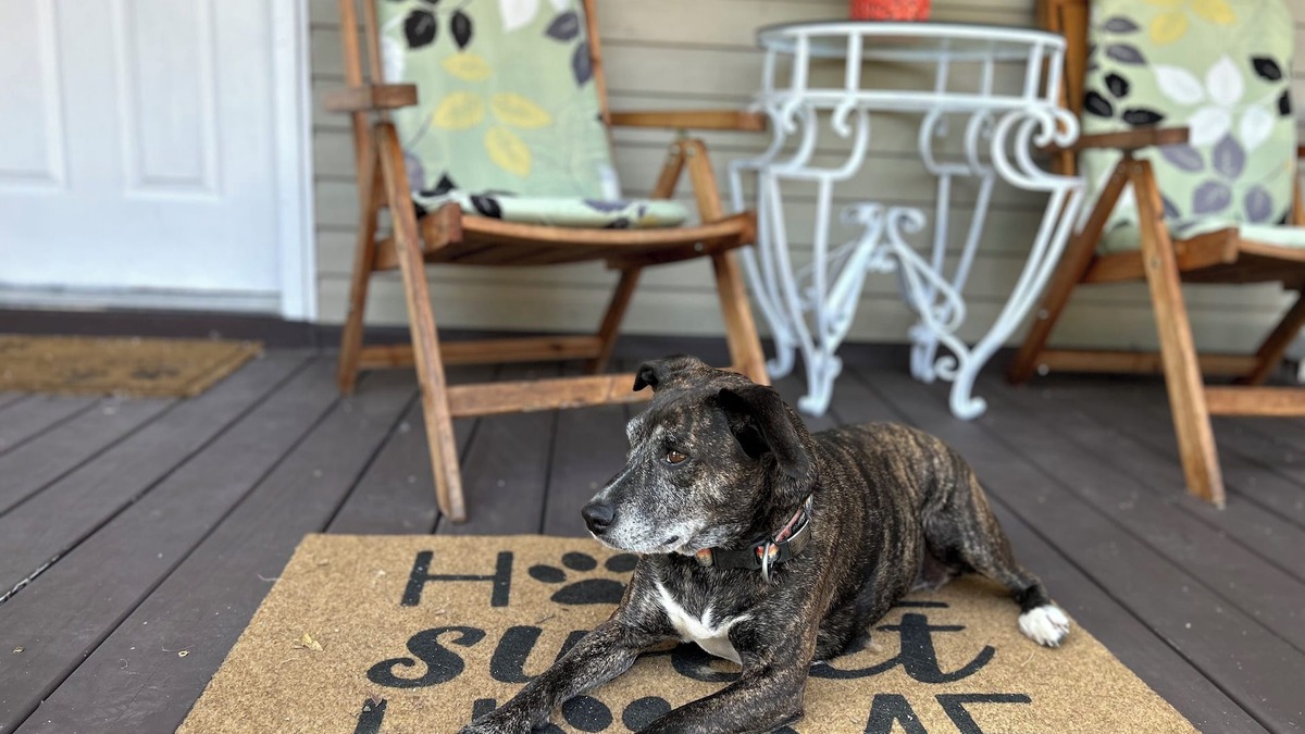 Natchez House | Charming 3-bedroom, pet friendly house in Downtown Natchez