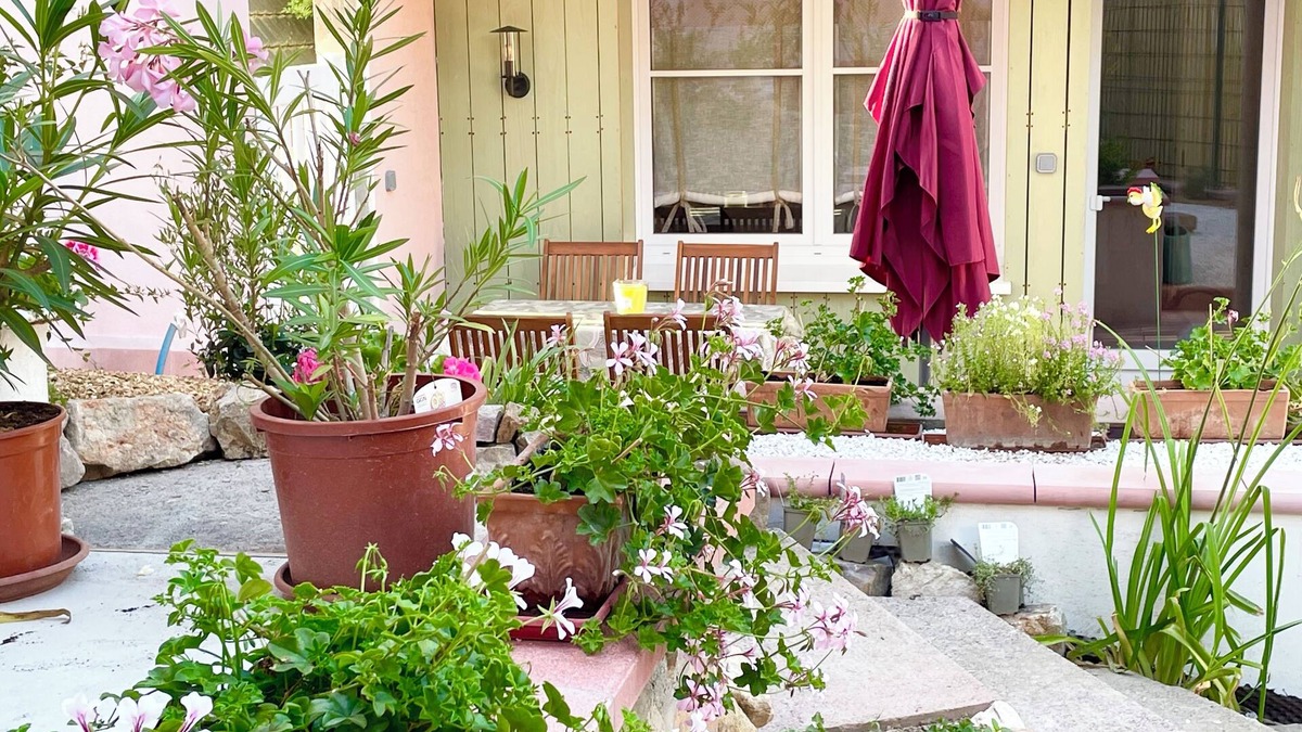 Horbourg-Wihr Cottage | Charming 3* furnished apartment 2 minutes from Colmar with private terrace, parking and garden