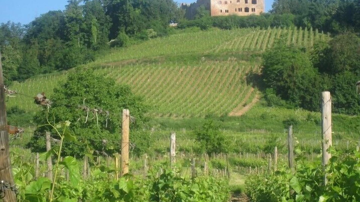 Kintzheim Cottage | CHARMING 3* HOUSE IN ALSACE ON THE WINE ROUTE AT KINTZHEIM