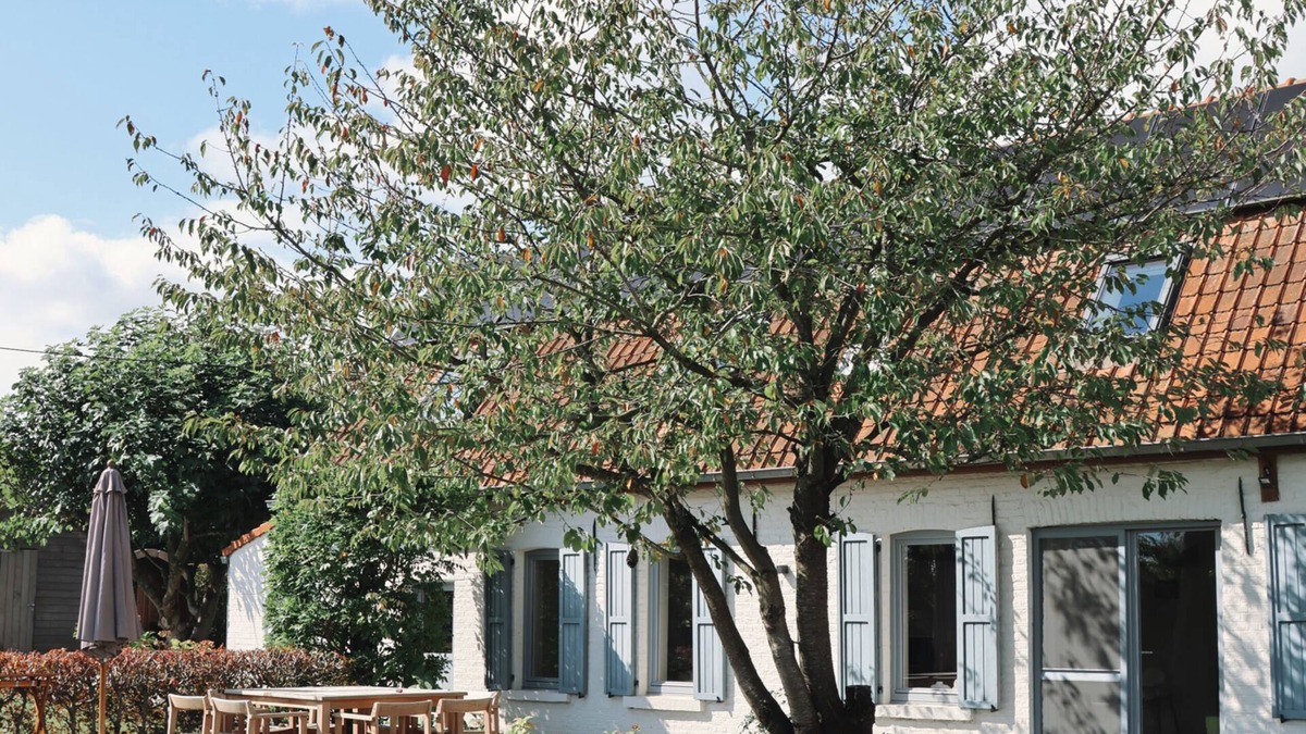 Ellezelles Other | Charming 4-bedroom farmhouse in Ellezelles with seasonal heated Pool and Sauna