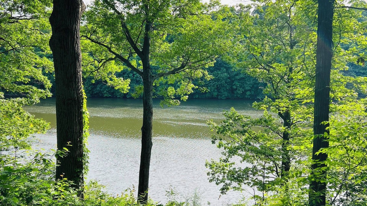 Minetto Cottage | Charming 4-bedroom, riverfront cottage in Oswego
