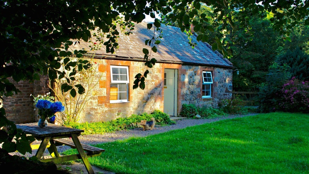 Carsethorn Cottage | Charming and comfortable, countryside cottage a 10 minute walk from the sea. Very popular with bird