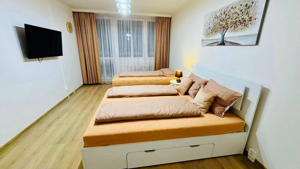 Prague 3 Apartment | Charming apart near Center