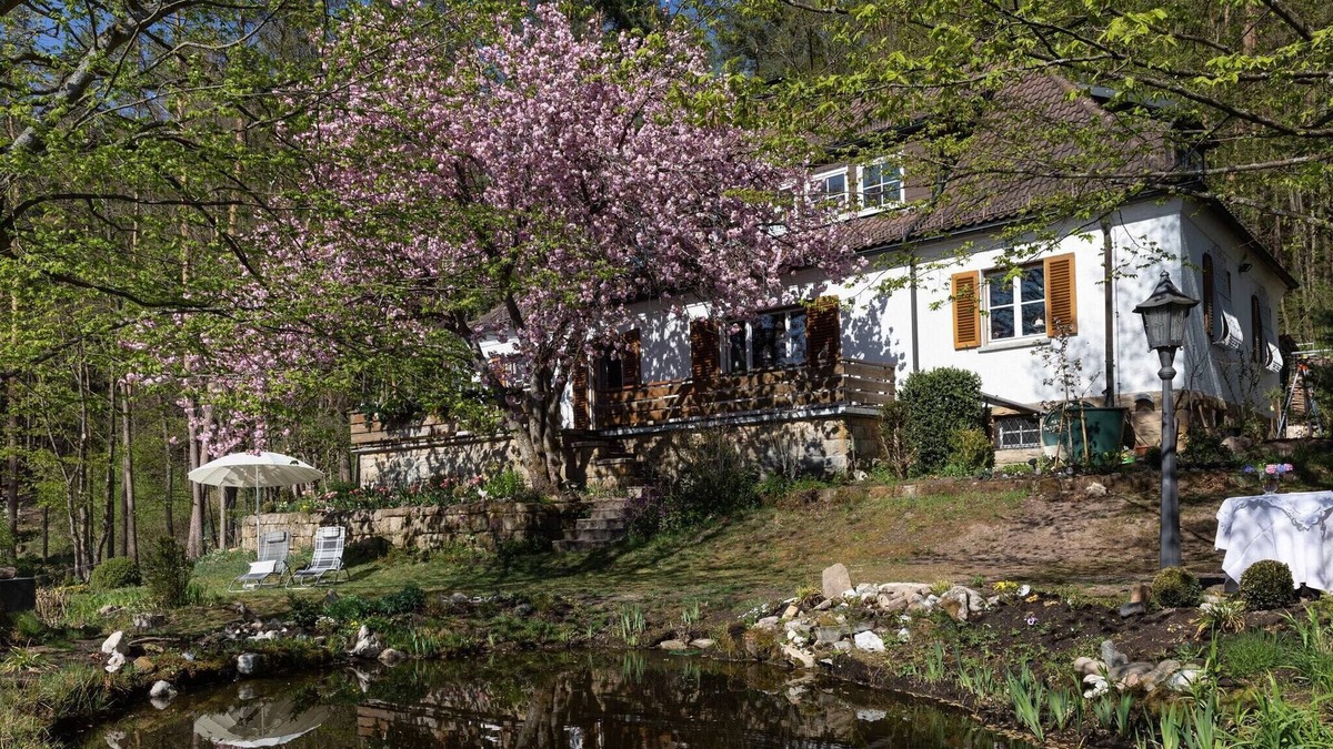 Weissenbrunn Apartment | Charming Apartment in Weißenbrunn near Forest
