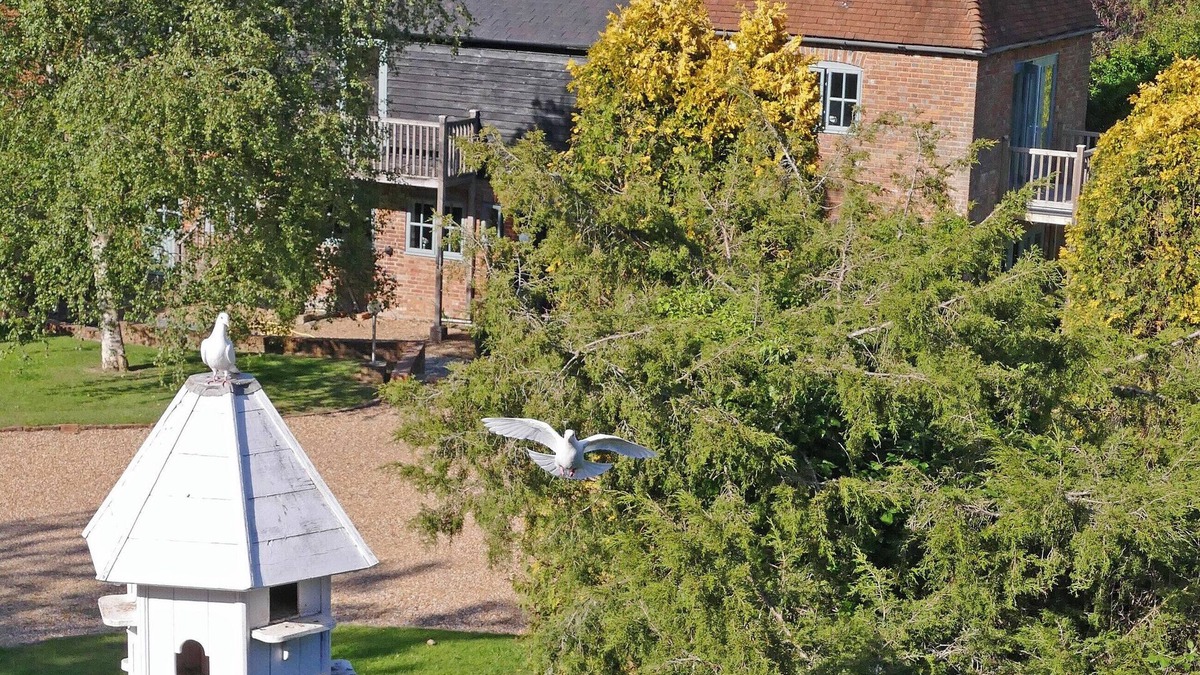 Sedlescombe Cottage | Charming barn conversion with enclosed private garden.