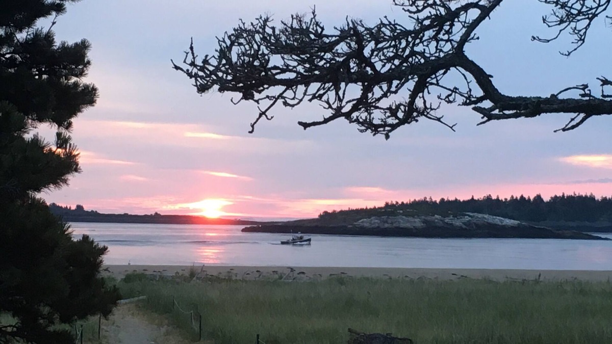 Phippsburg Cottage | Charming Beach Front Cottage- 2025 Summer is booked.